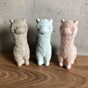 Lama alpaka - Obrázek 2