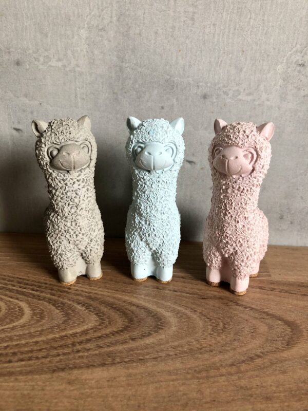 Lama alpaka - Obrázek 2