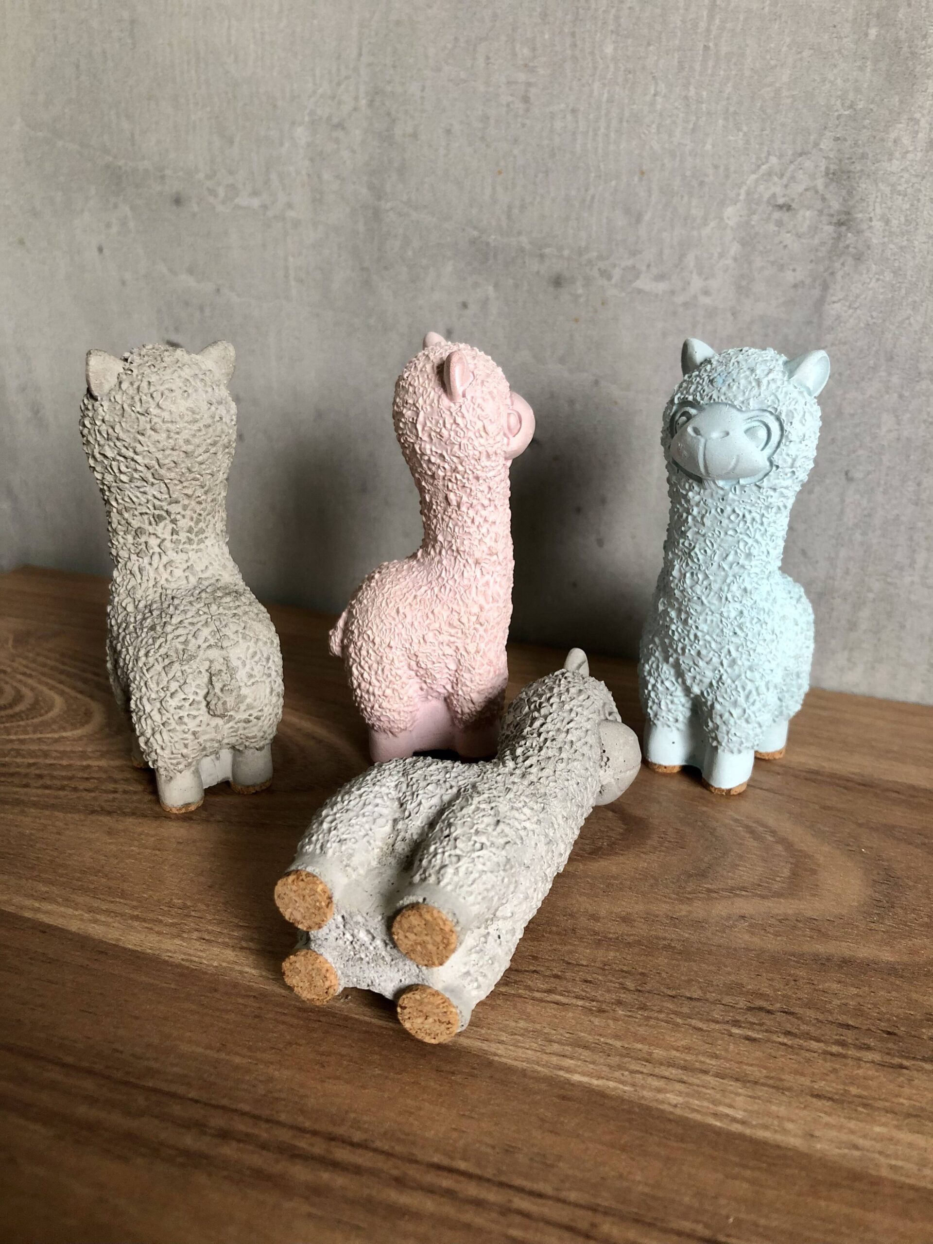 Lama alpaka - Obrázek 3