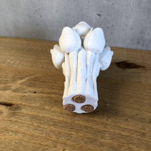 Tulipány - Obrázek 2