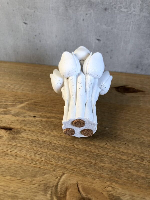 Tulipány - Obrázek 2