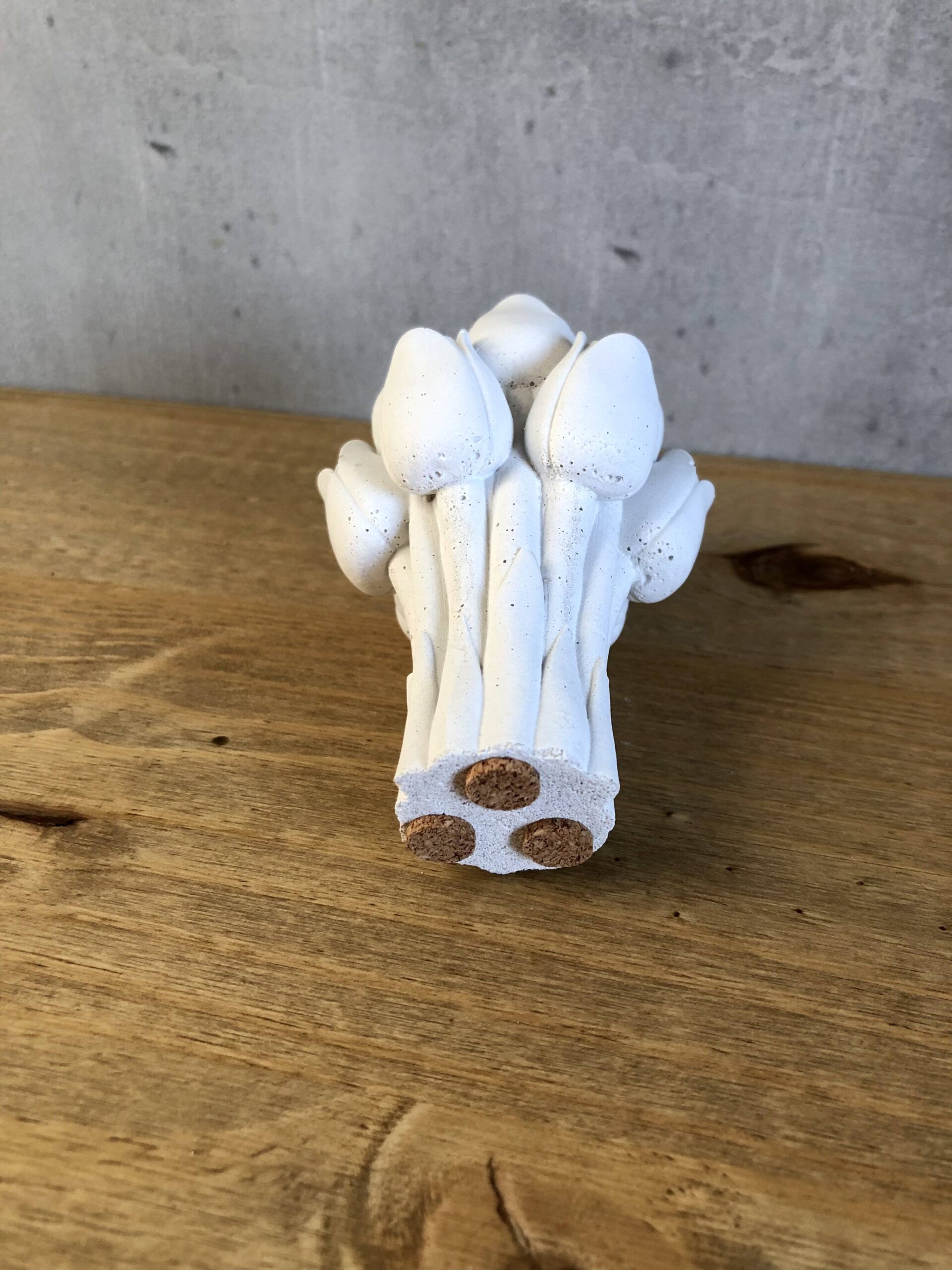 Tulipány - Obrázek 2