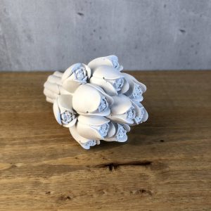 Tulipány - Obrázek 3