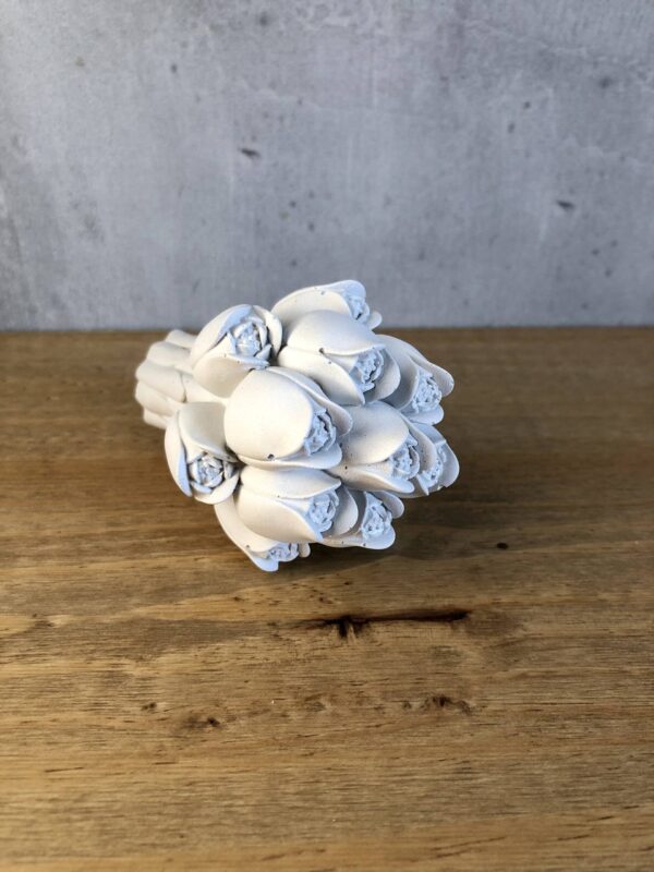 Tulipány - Obrázek 3