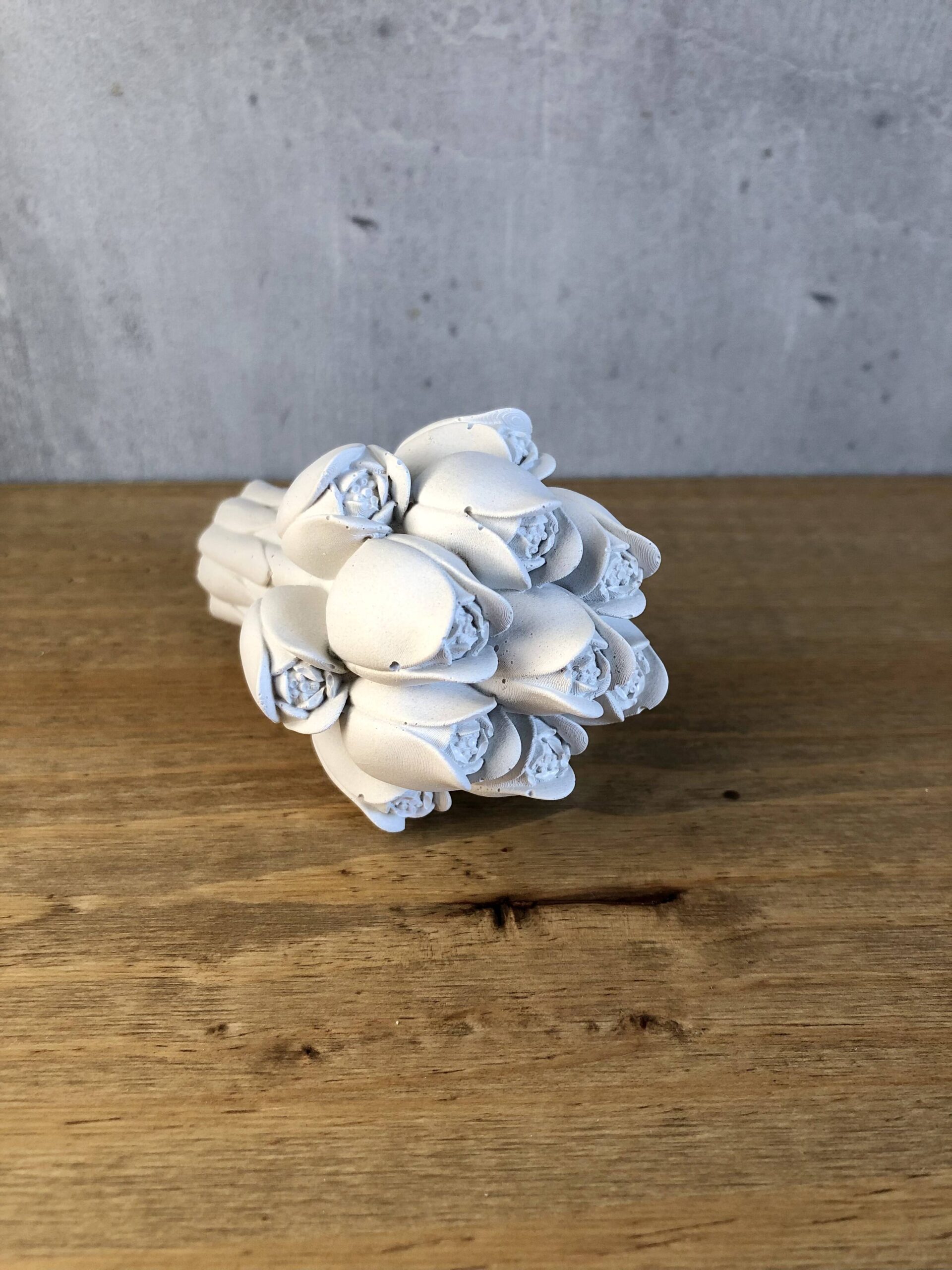 Tulipány - Obrázek 3