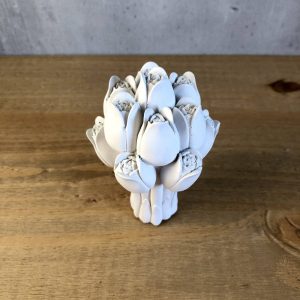 Tulipány - Obrázek 4