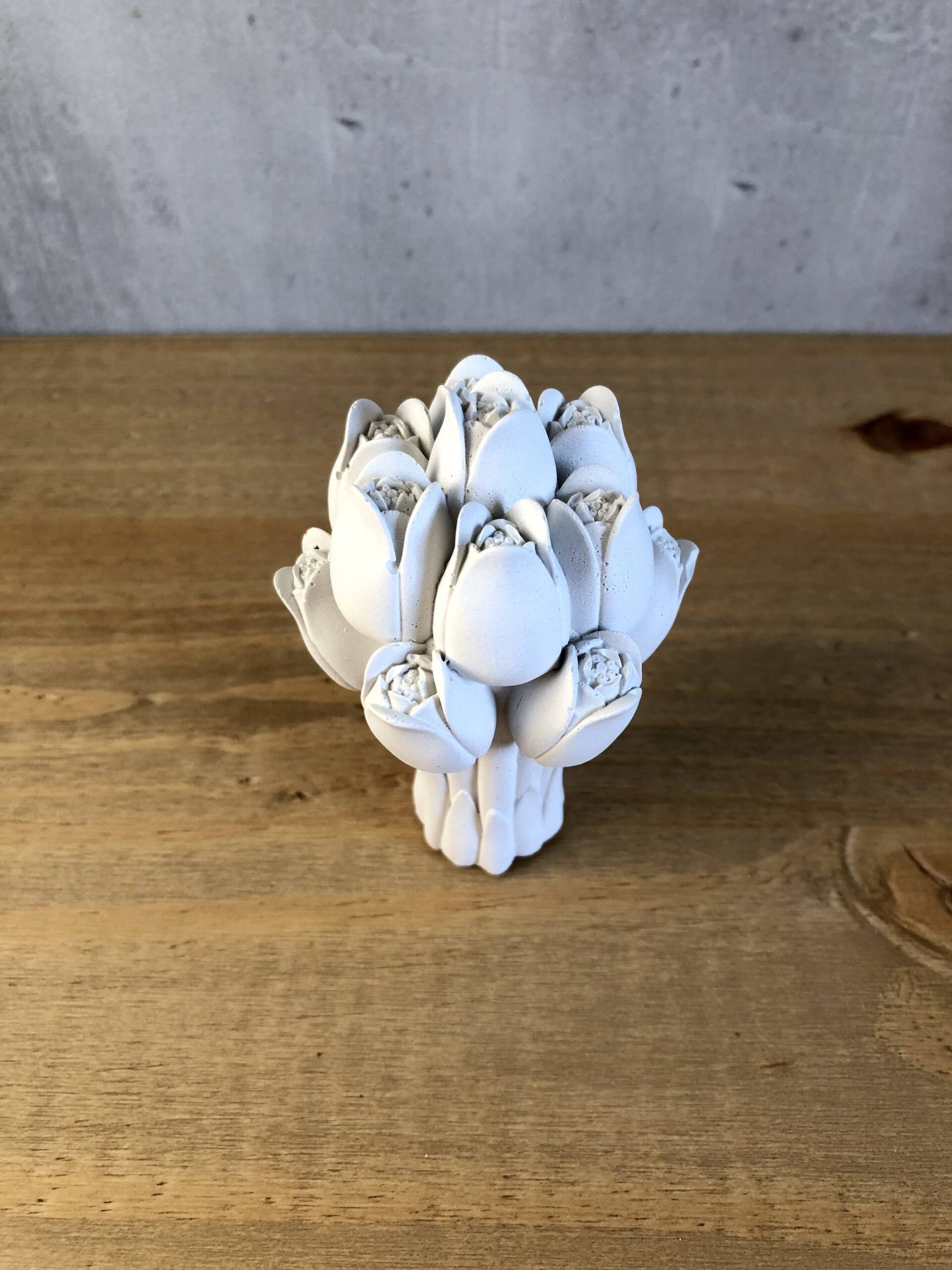 Tulipány - Obrázek 4