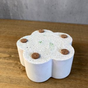 Svícen květina - Obrázek 4