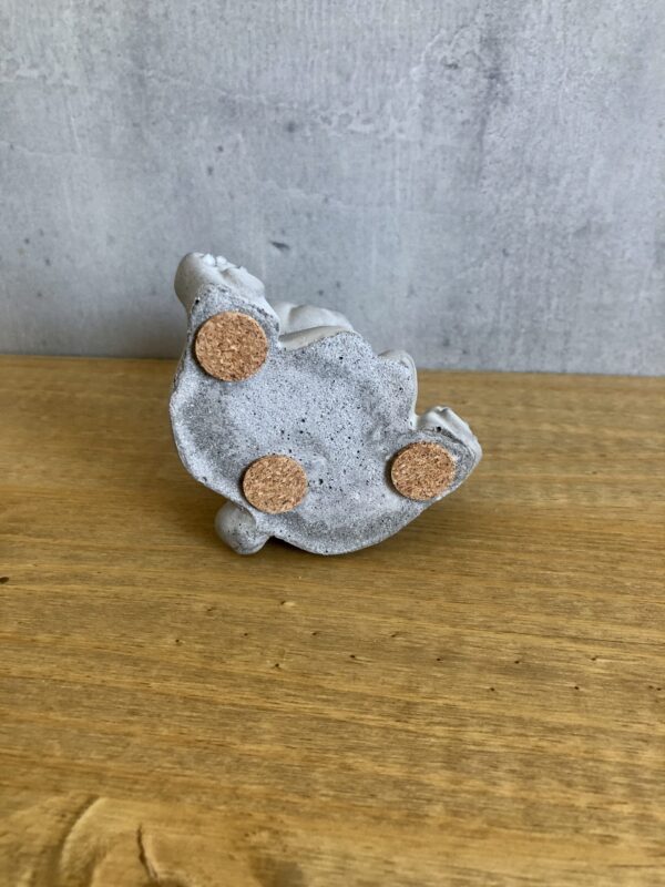 Medvídek - Obrázek 5