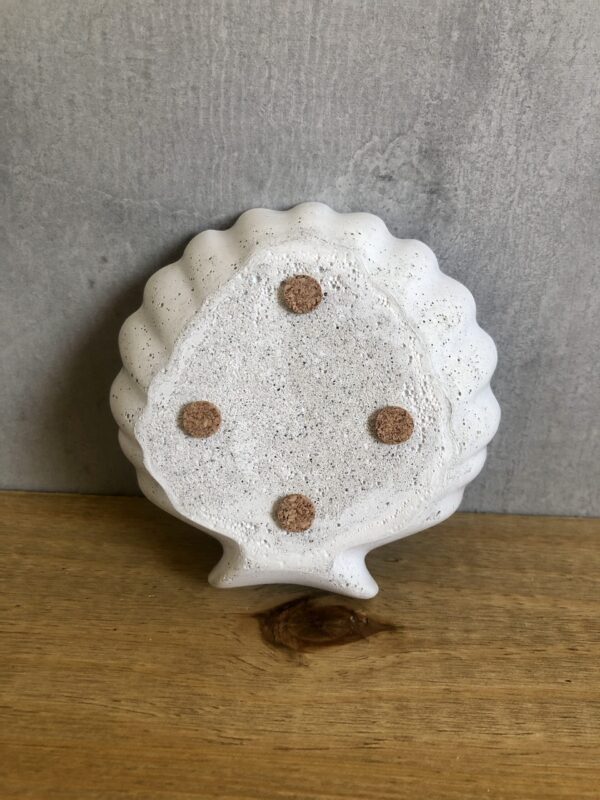 Mistička Mušle - Obrázek 4