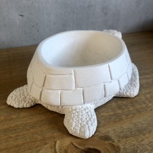 Želva z betonu - Obrázek 4