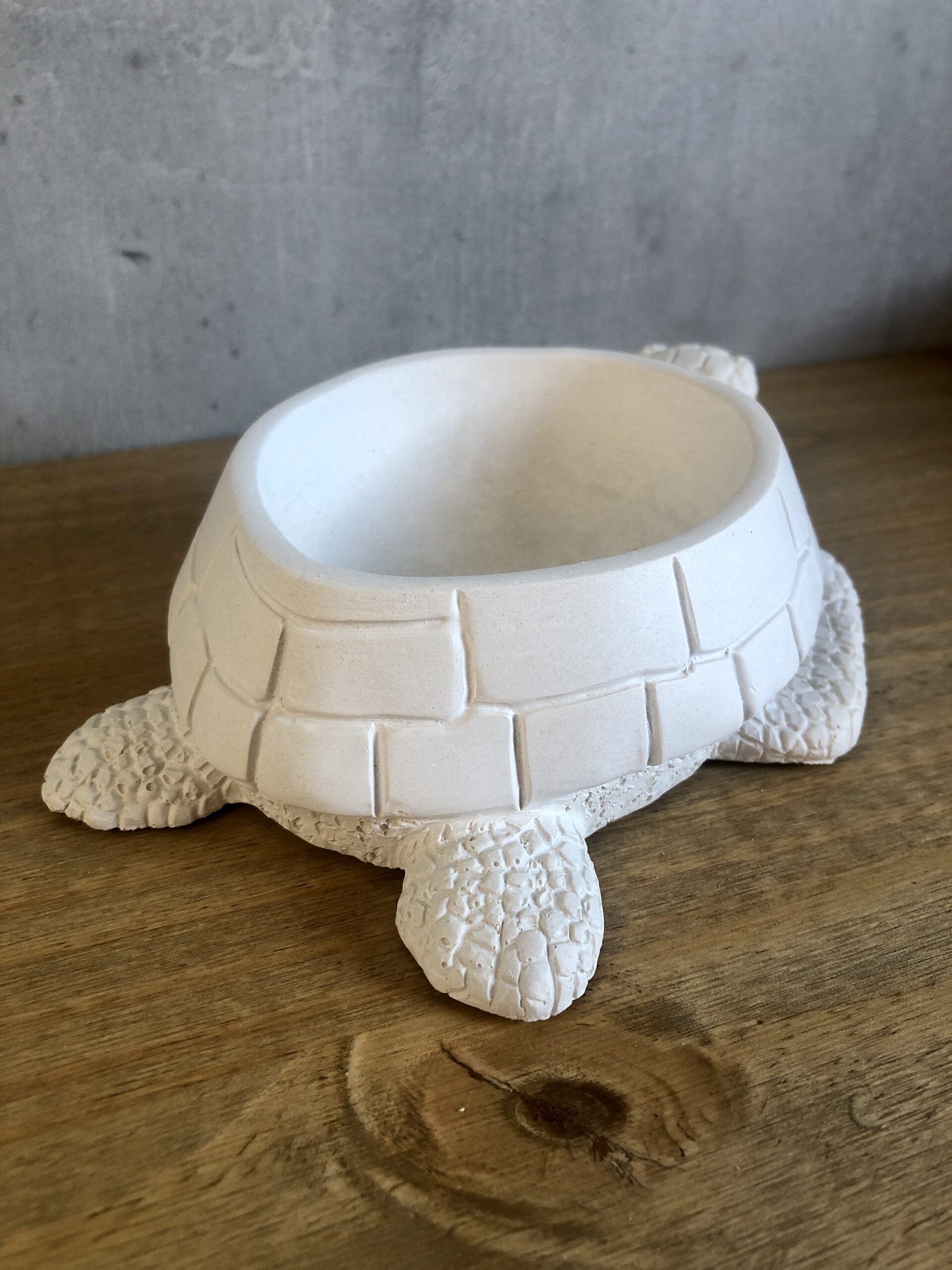 Želva z betonu - Obrázek 4