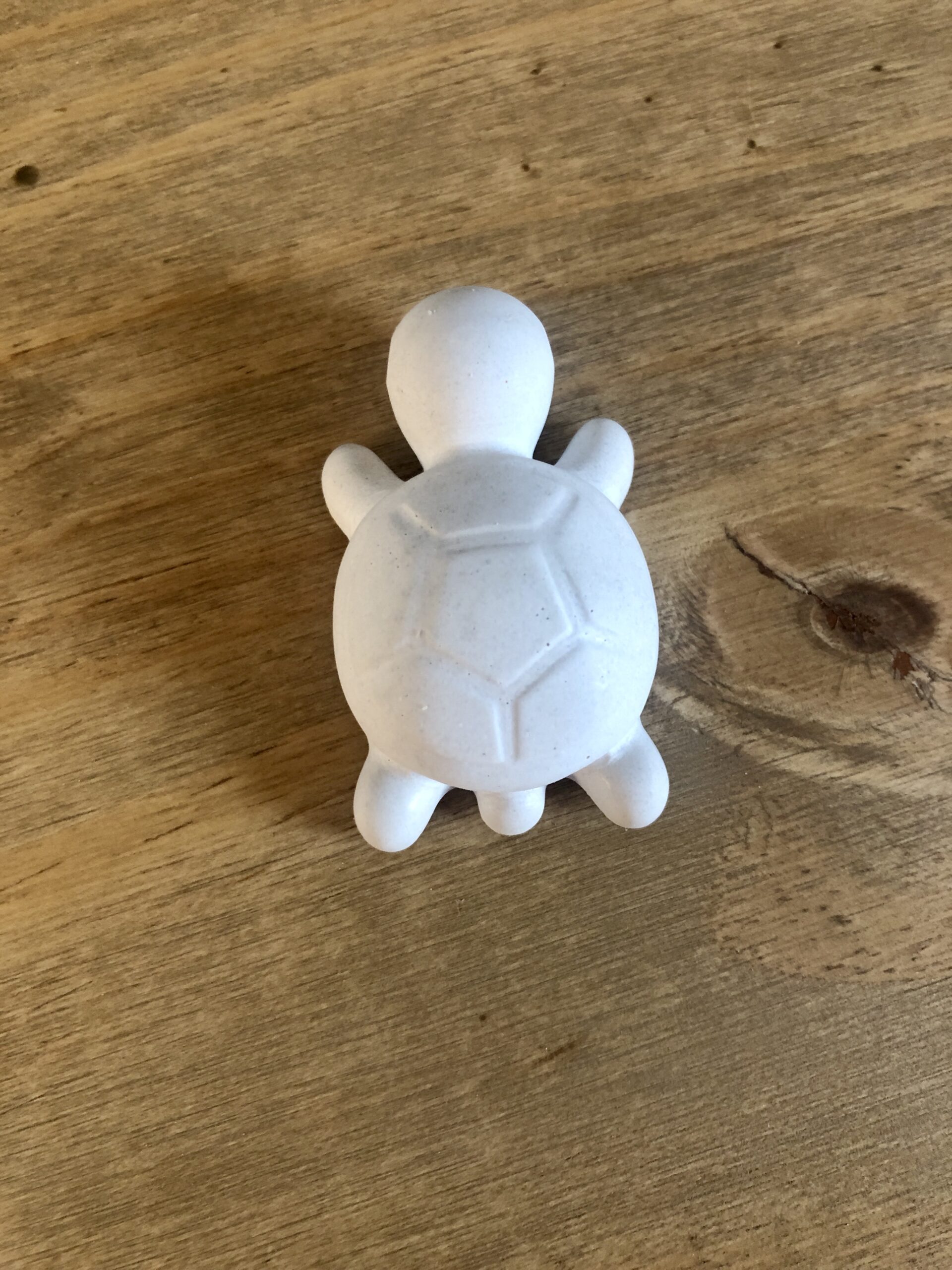 Želvička z betonu - Obrázek 2