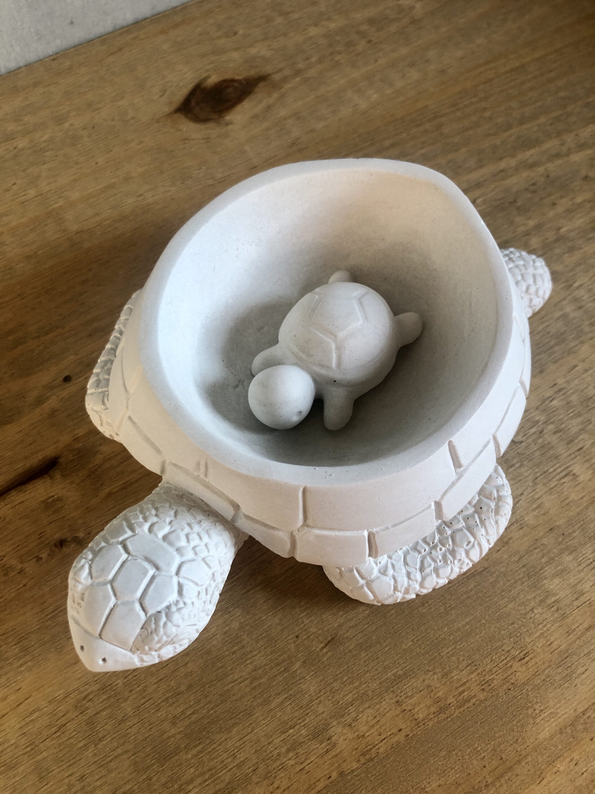 Želva z betonu - Obrázek 6