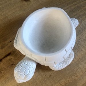 Želva z betonu - Obrázek 3