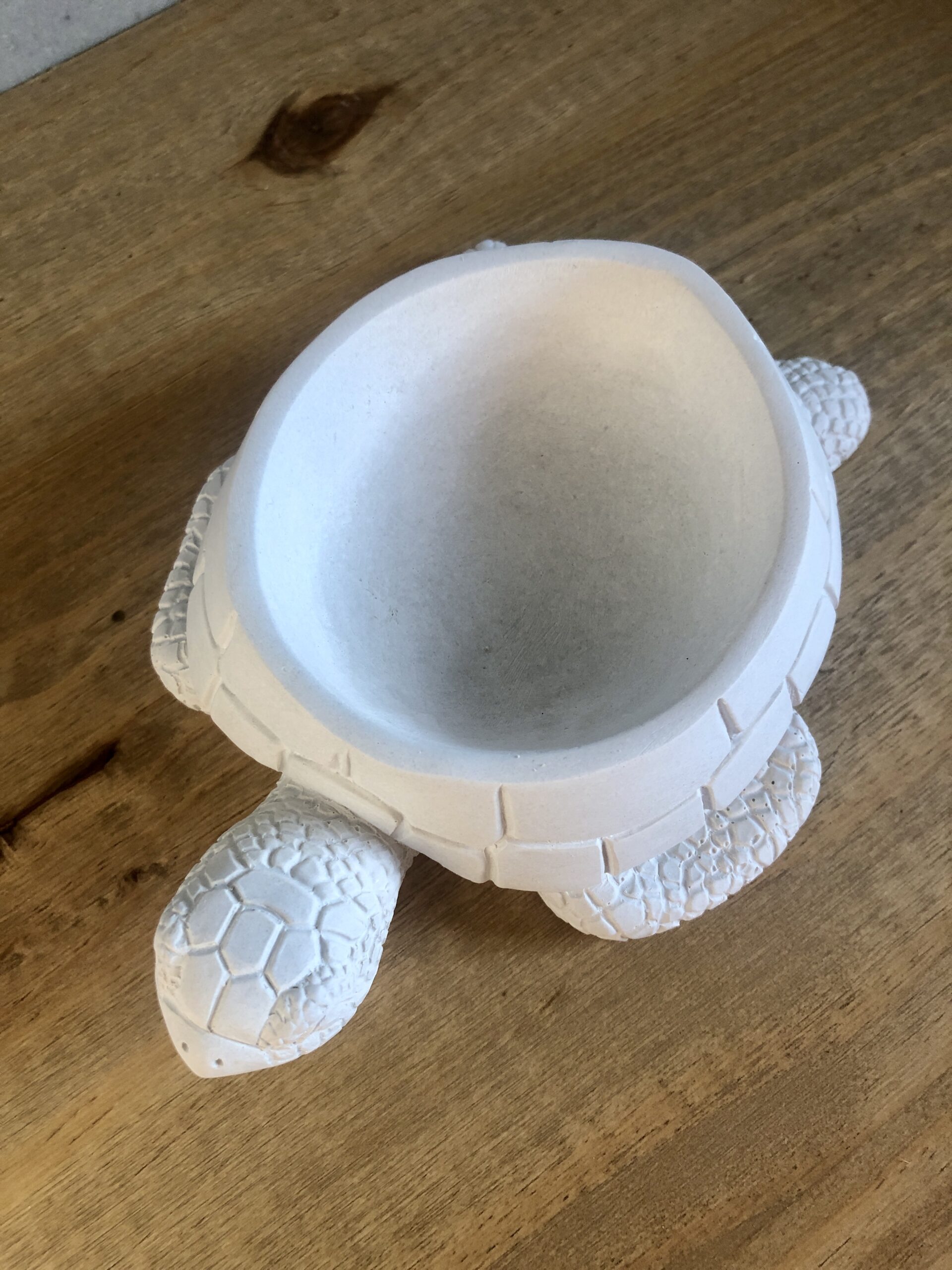 Želva z betonu - Obrázek 3