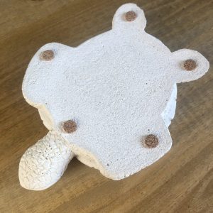 Želva z betonu - Obrázek 5