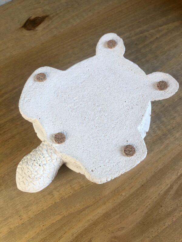 Želva z betonu - Obrázek 5