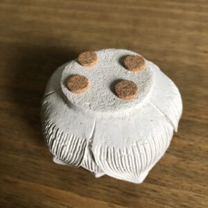 Svícen Květ lotosu - Obrázek 5