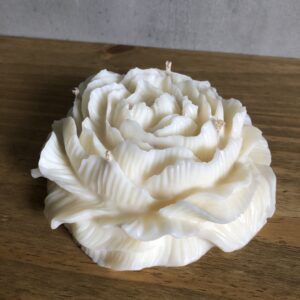 Svíčka pivoňka – velká