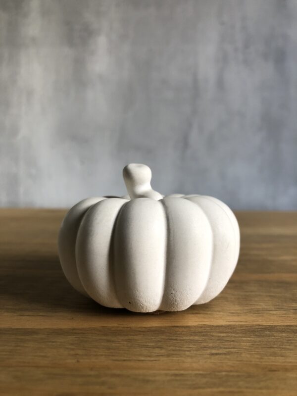 Dýně betonová dekorace - Obrázek 2